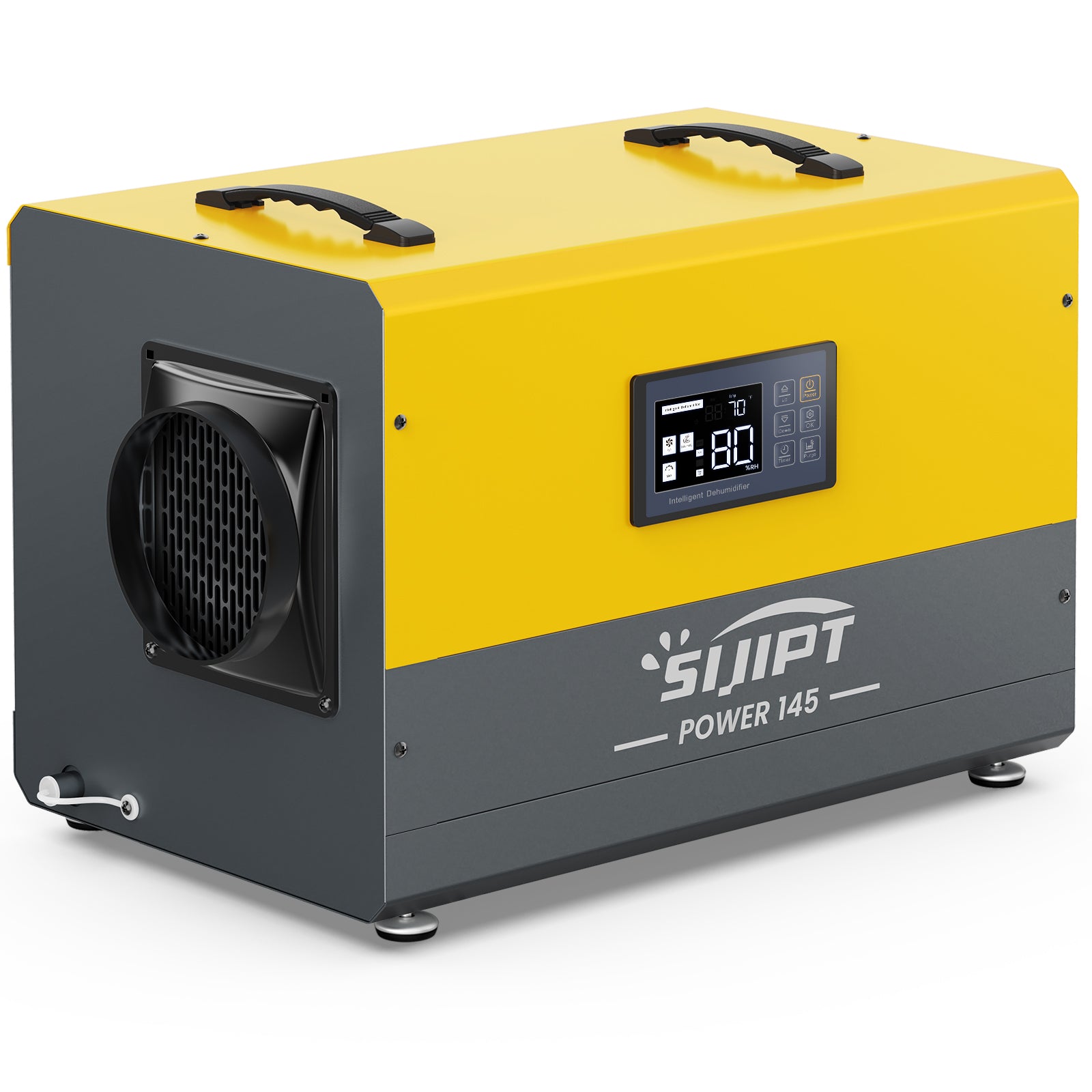Best Dehumidifier for Basement